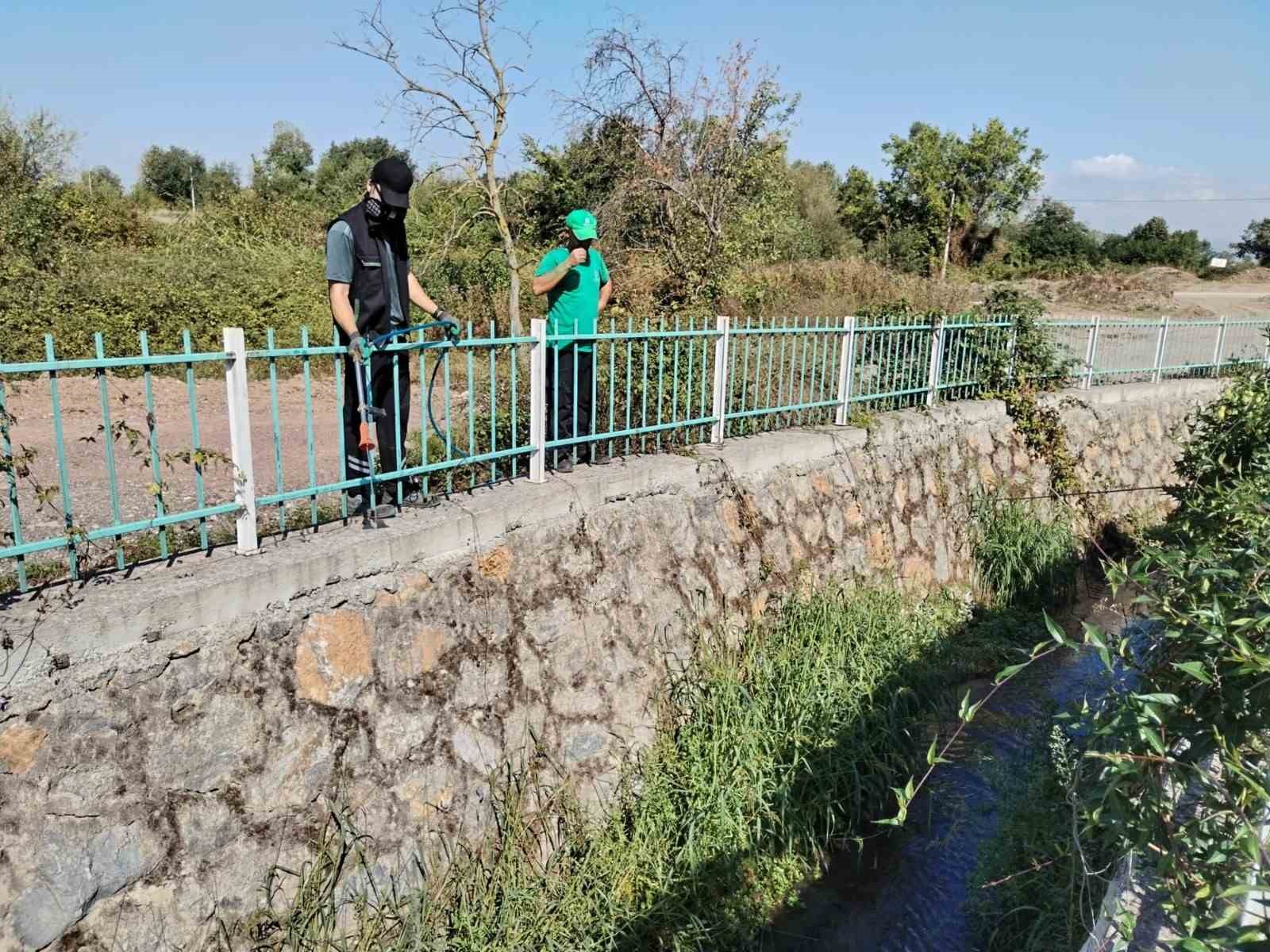 Vektörle mücadele kapsamında 24 milyon metrekare alan ilaçlandı
