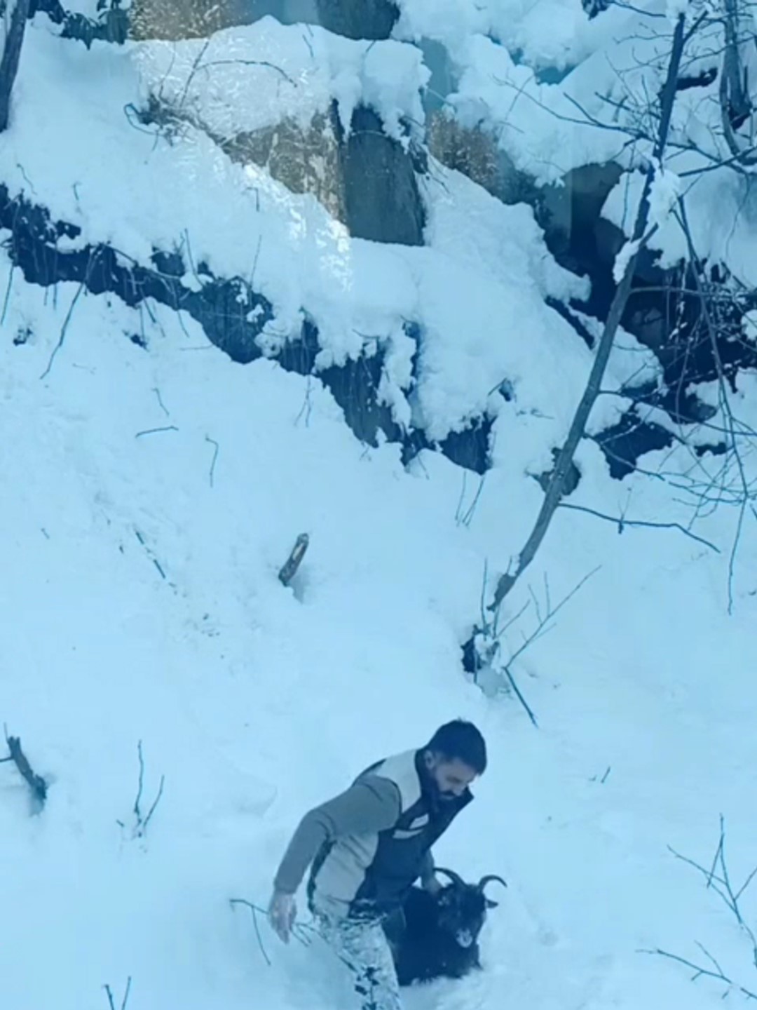 İş makinesi operatörü karda kaybolan keçiyi sahiplerine ulaştırdı
