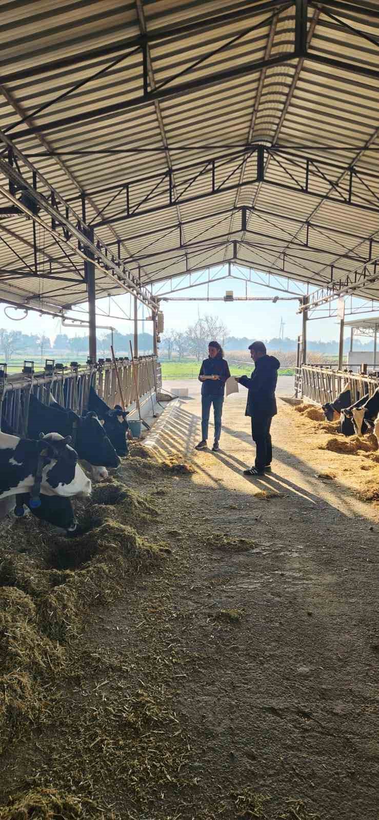 S&ouml;ke TAYEM&rsquo;de t&uuml;berk&uuml;loz ve brucella taraması yapıldı
