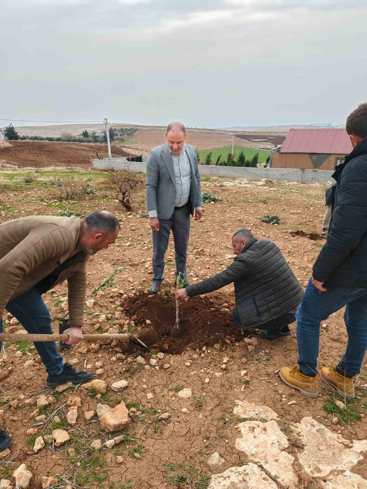 Zeytinli Mahallesi sıfır atık k&ouml;y&uuml; olma yolunda ilerliyor
