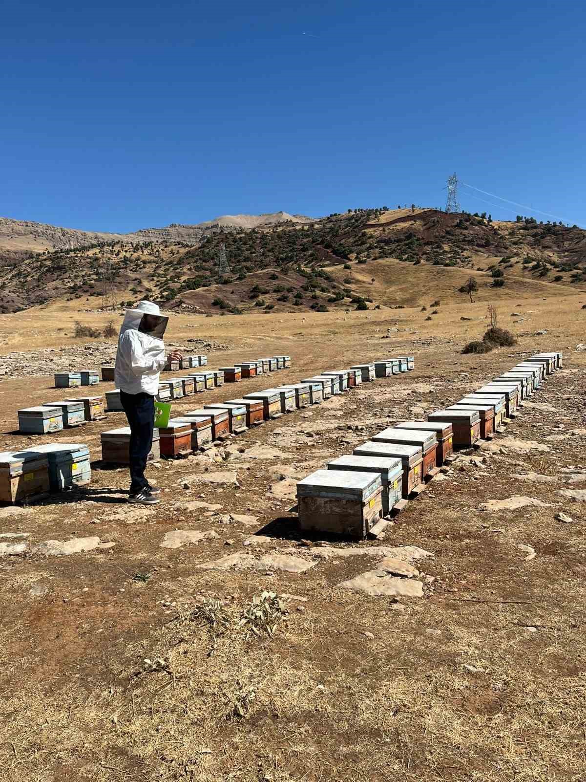 Şırnak&rsquo;ta hayvancılığa 2025&rsquo;te g&uuml;&ccedil;l&uuml; dokunuş
