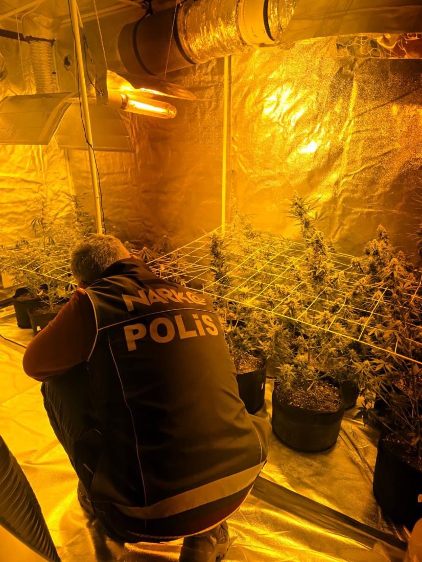 Didim&rsquo;de uyuşturucu operasyonu: Kenevir yetiştirme kabini ele ge&ccedil;irildi
