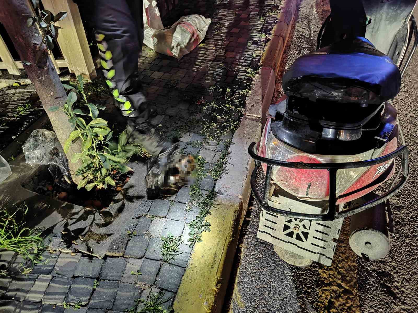 Ağaca &ccedil;arpan motosikletli yaralandı, alkoll&uuml; olduğu tespit edilince para cezası kesildi
