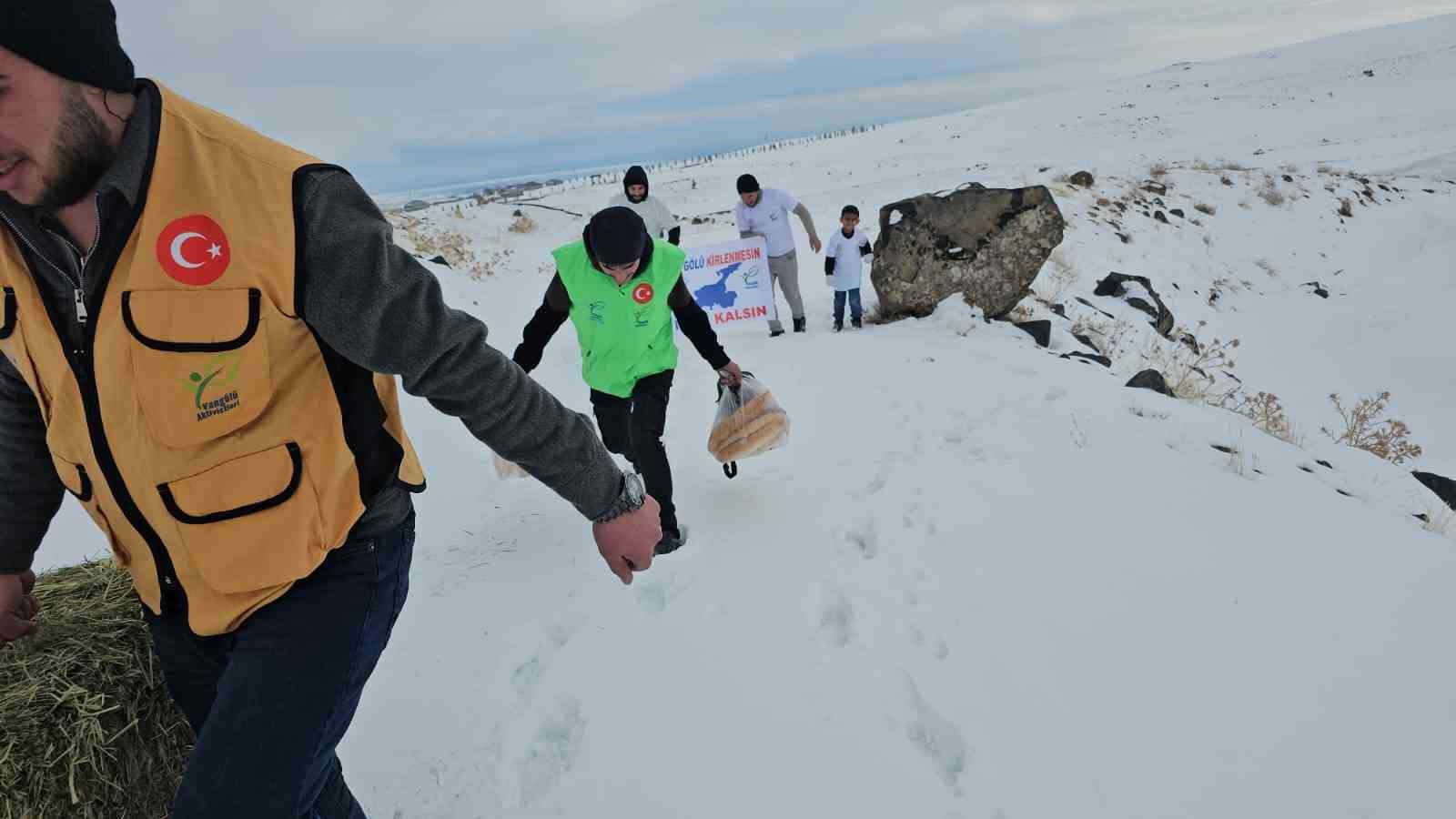 Adilcevaz&rsquo;da yaban hayvanları unutulmadı: Aktivistlerden S&uuml;phan Dağı eteğine yem bıraktı
