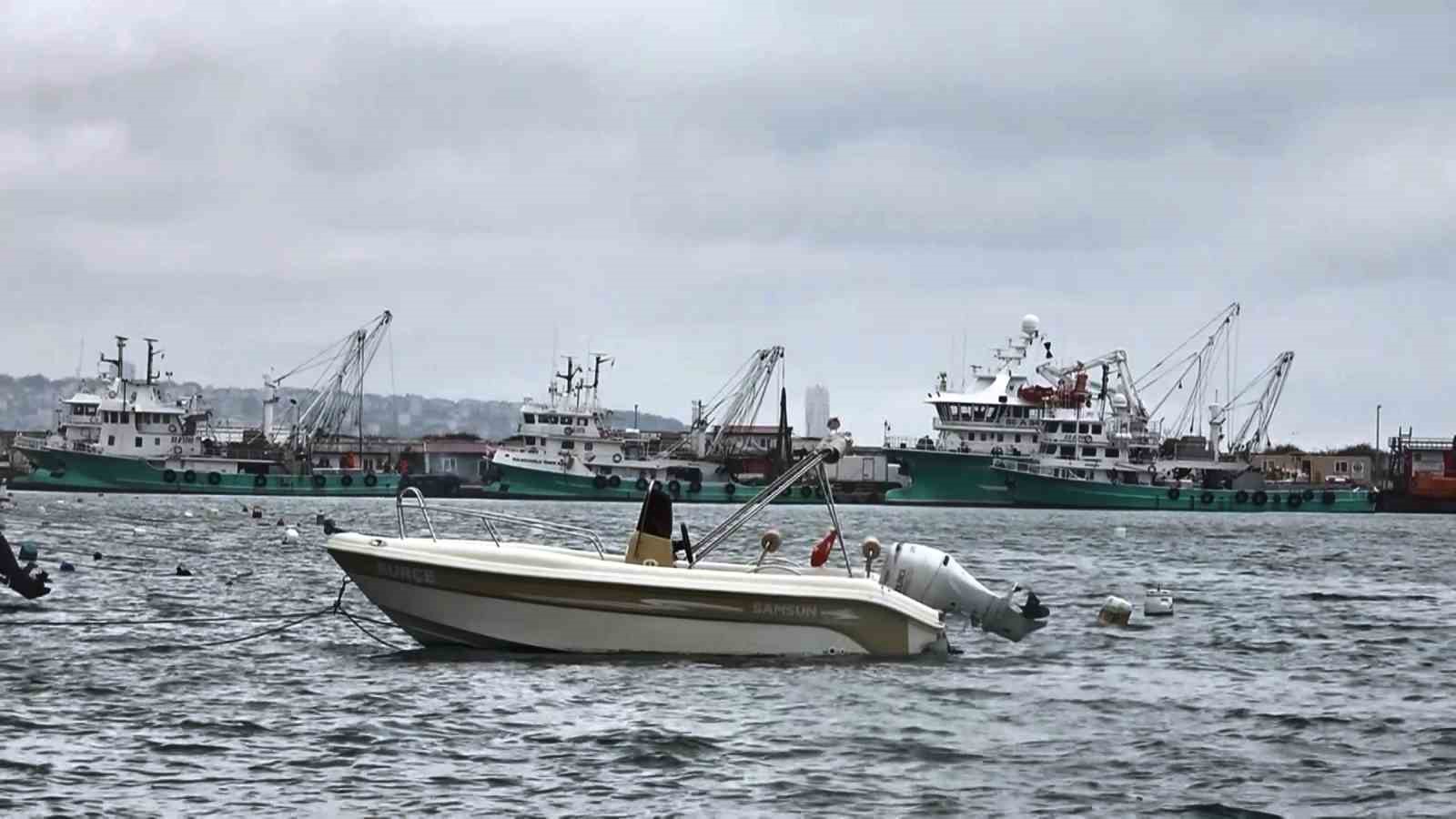 Uyanık l&uuml;fer Karadeniz zekasını kullandı: Denizlerde bol ama ağlara girmiyor
