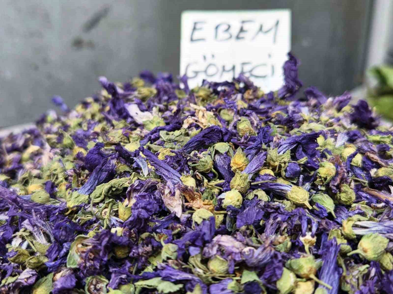 Ayaz vurdu, fincanlar kış &ccedil;ayıyla doldu
