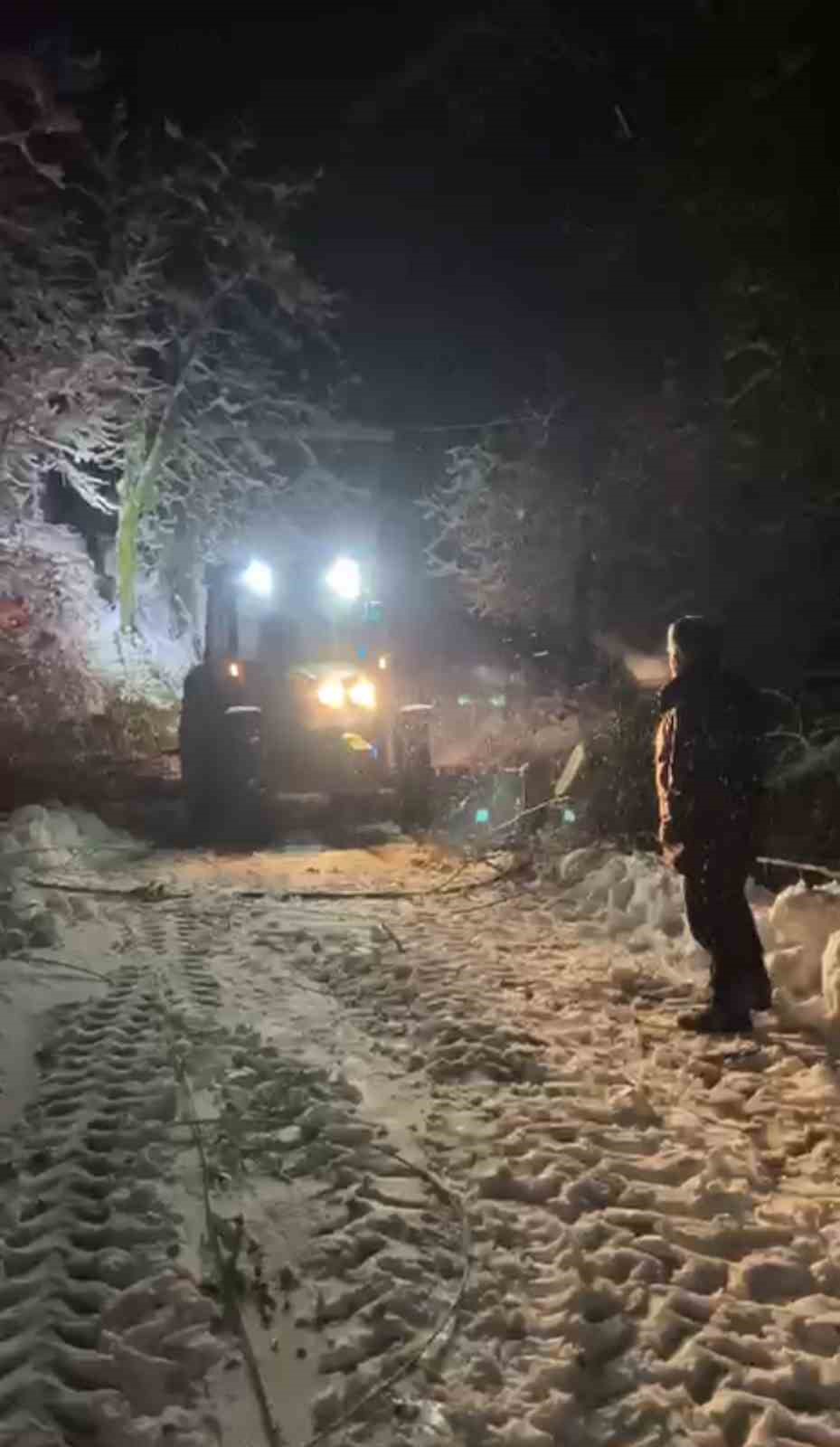 Sinop&rsquo;ta ağa&ccedil; devrildi
