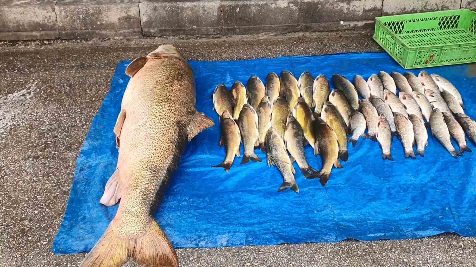 Elazığ&rsquo;da 52 kilogram ağırlığında turna yakalandı
