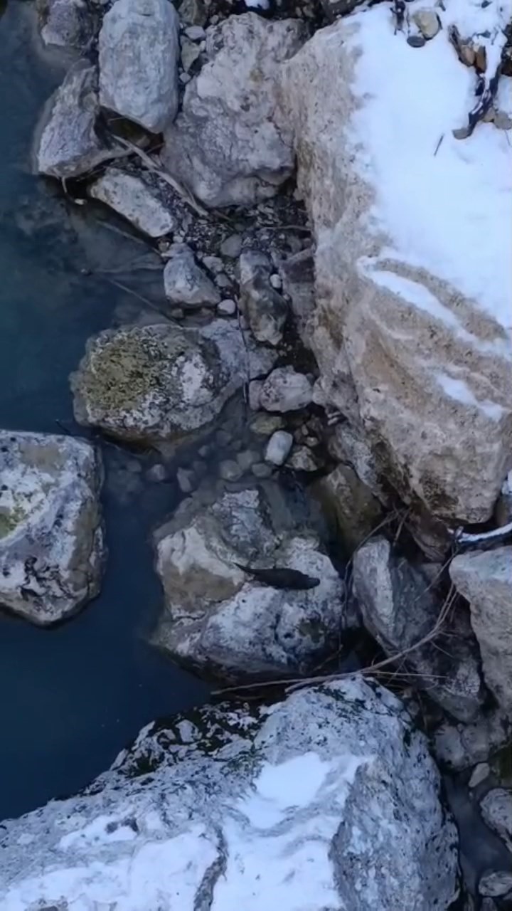 Tunceli&rsquo;de sıra dışı anlar: Aynı vadide su samurları ve buz gibi suda y&uuml;zen gen&ccedil;ler dikkat &ccedil;ekti

