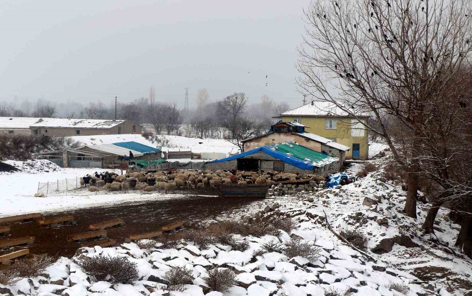 Beyaz &ouml;rt&uuml; altında zorlu yaşam: Erzincan k&ouml;ylerinde kış mesaisi
