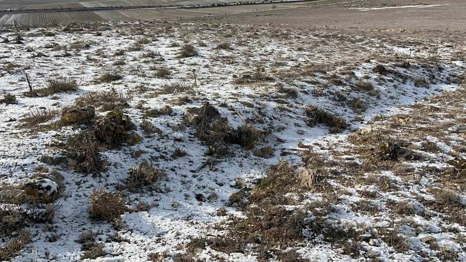 Eskişehir&rsquo;deki k&ouml;yde ilgin&ccedil; arazi sıkıntısı
