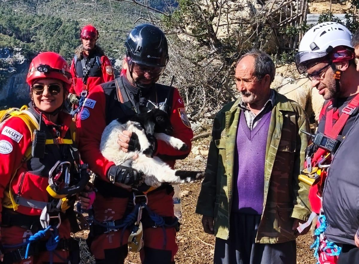 Uçurumdan düşen kuzuyu ekipler kurtardı