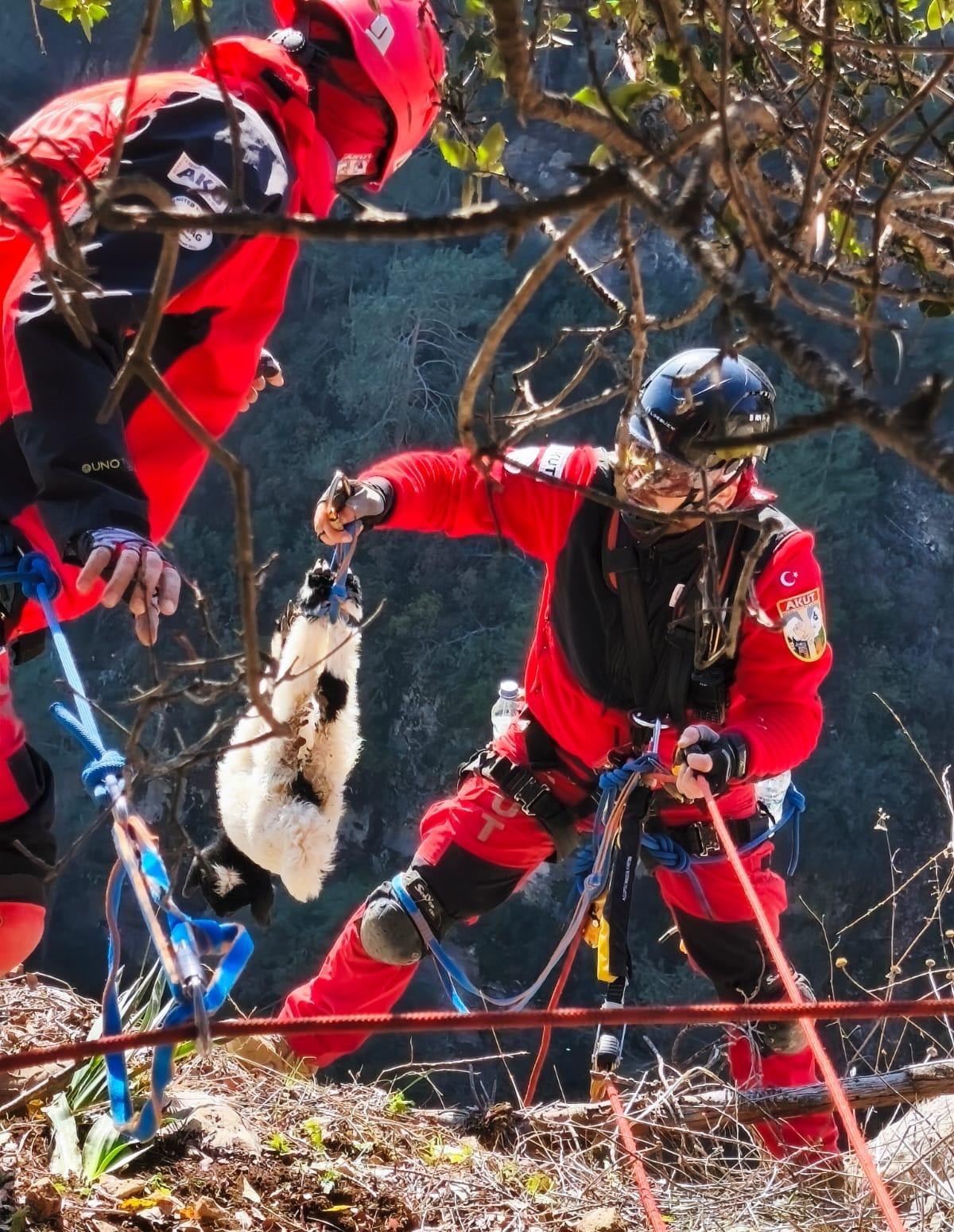 U&ccedil;urumdan d&uuml;şen kuzuyu ekipler kurtardı
