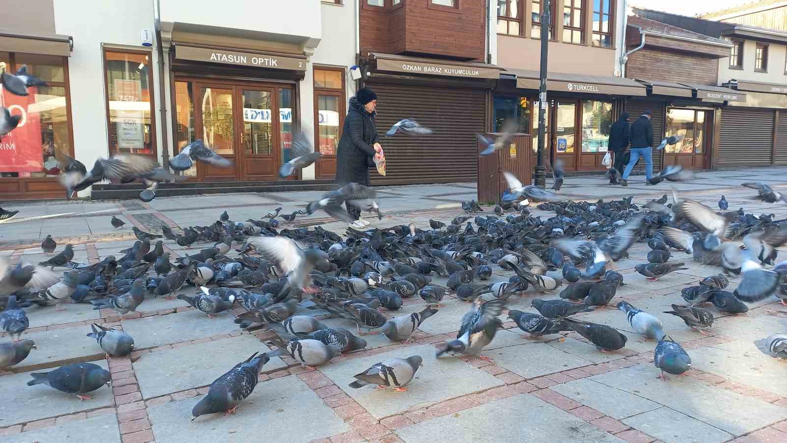 Soğukta &uuml;ş&uuml;yen kuşlar i&ccedil;in 5 kilometrelik şefkat yolculuğu
