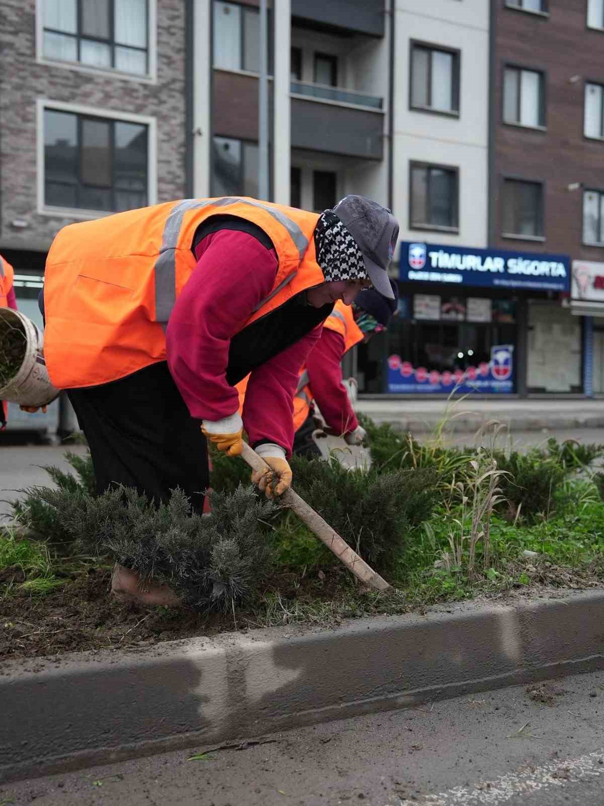 Park ve yeşil alanlarda peyzaj çalışmaları sürüyor