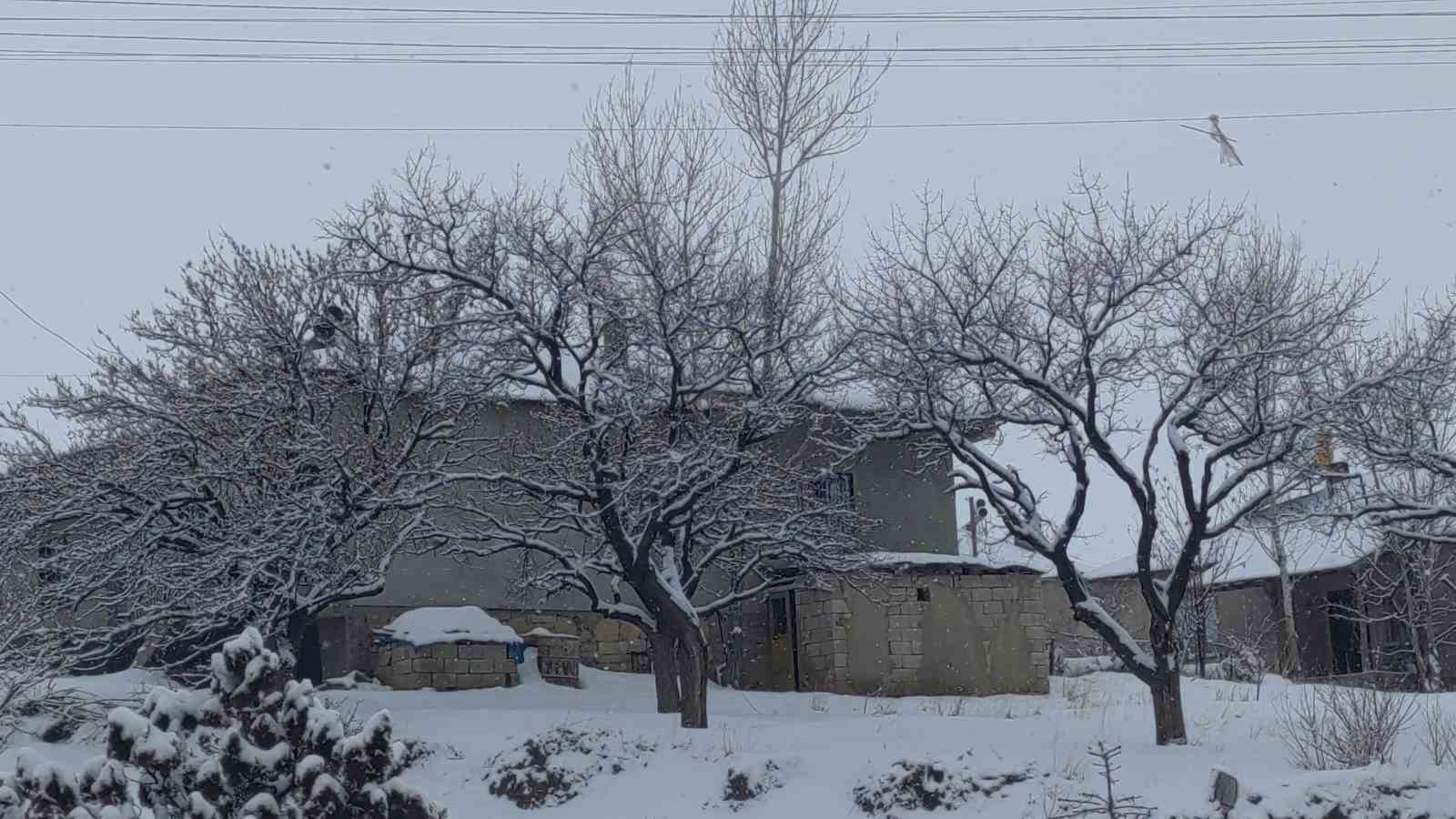 Van&rsquo;da Sibirya soğukları hayatı olumsuz etkiliyor
