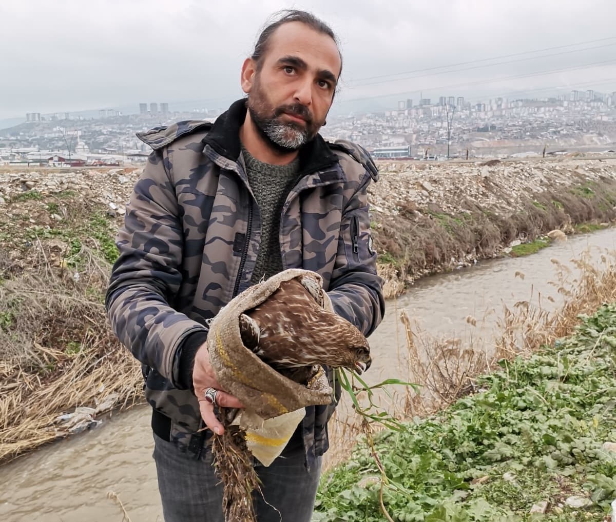Yaralı şahin kurtarıldı