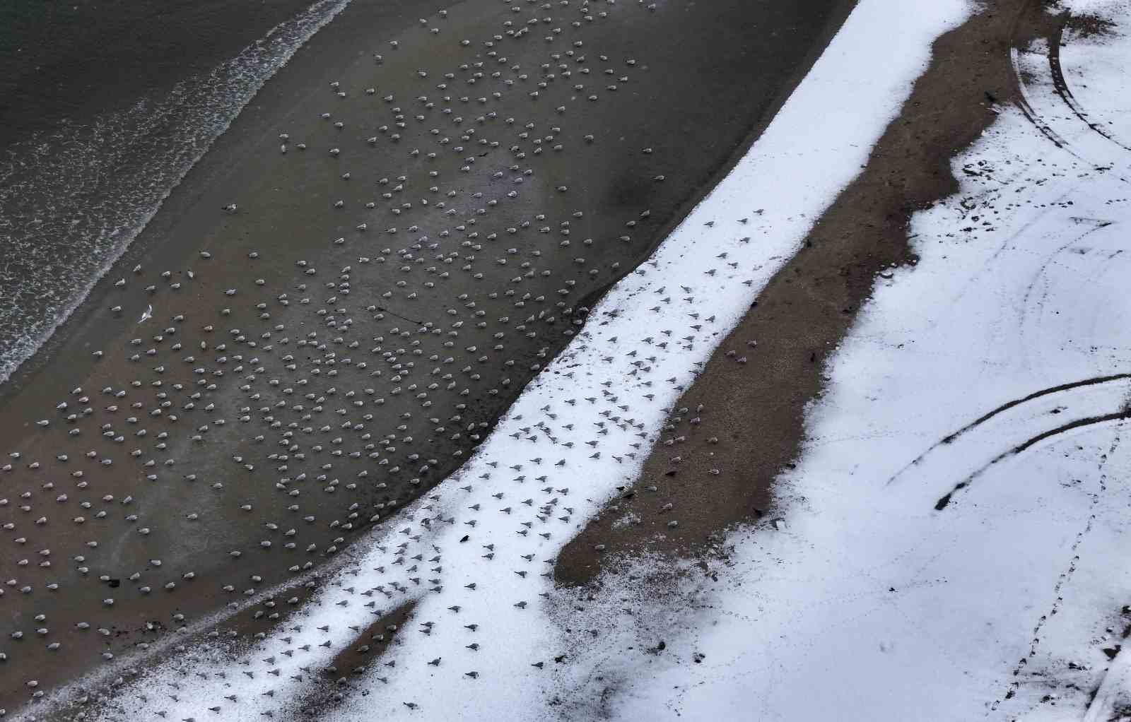 Kar yağışı ile beyaza b&uuml;r&uuml;nen Menekşe sahili havadan g&ouml;r&uuml;nt&uuml;lendi
