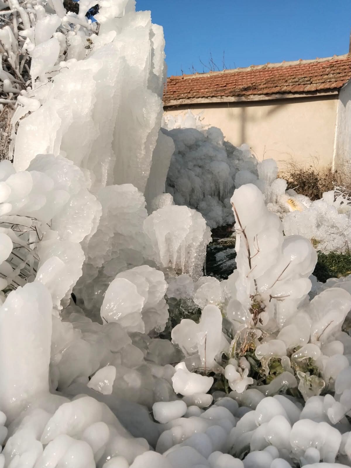 Kutuplar değil, Enez