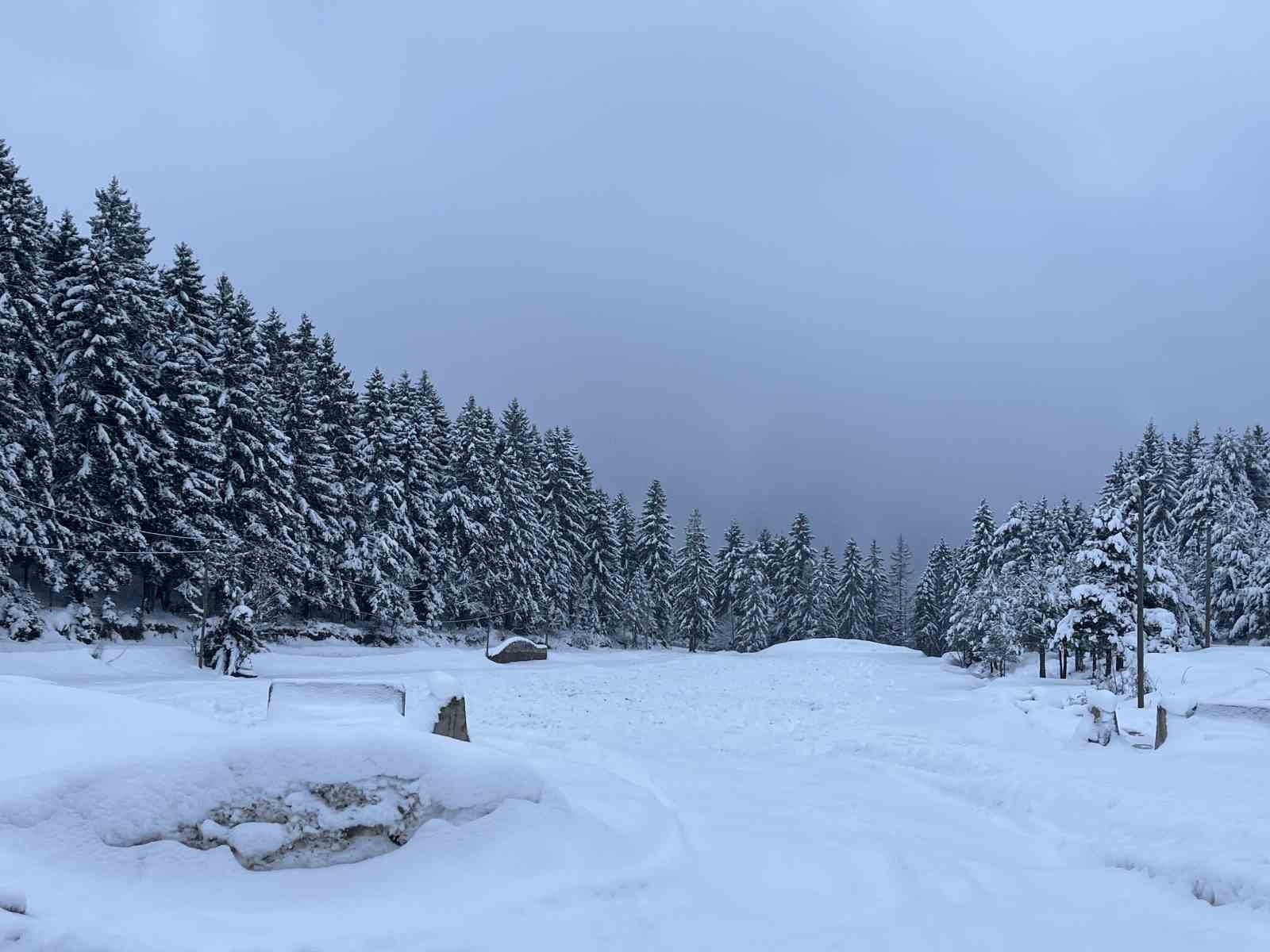 Artvin&rsquo;in &uuml;nl&uuml; Kafkas&ouml;r Yaylası, beyaz &ouml;rt&uuml;yle sessizliğe b&uuml;r&uuml;nd&uuml;
