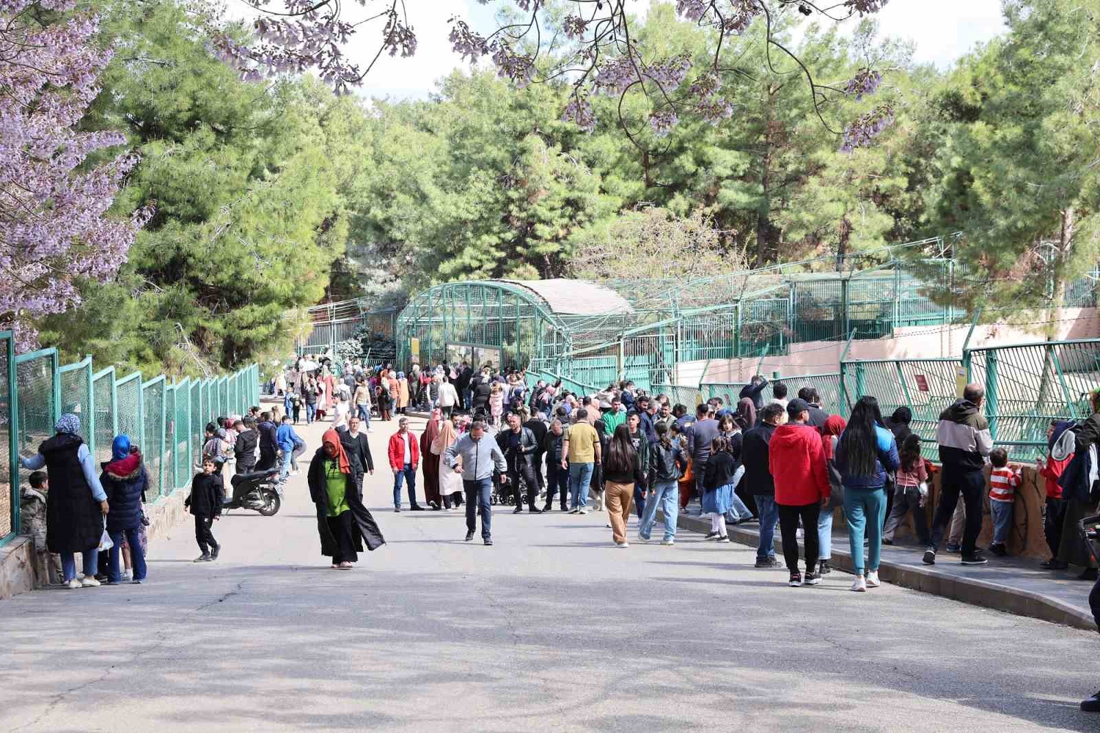 Türkiye&rsquo;nin en büyük hayvanat bahçesi 2025&rsquo;te ziyaretçi rekoru kırdı