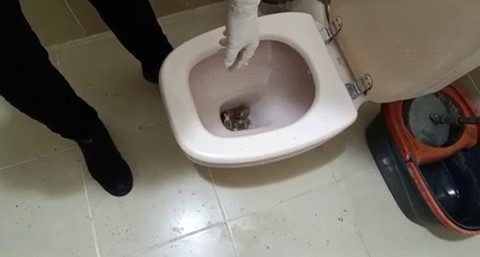 Polisten iki il&ccedil;ede iki ayrı uyuşturucu operasyonu: 5 g&ouml;zaltı
