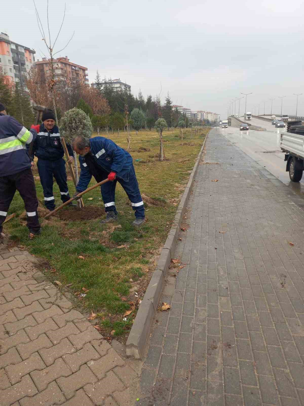 Sincan&rsquo;da &ccedil;evre d&uuml;zenleme ve peyzaj &ccedil;alışmaları aralıksız s&uuml;r&uuml;yor
