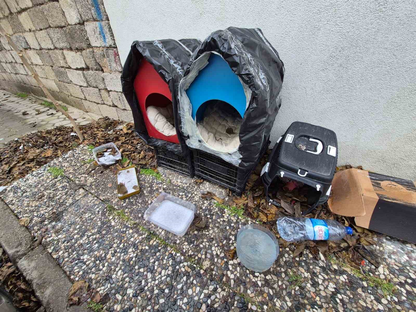 Vatandaşlardan sokak hayvanları i&ccedil;in &ouml;rnek davranış
