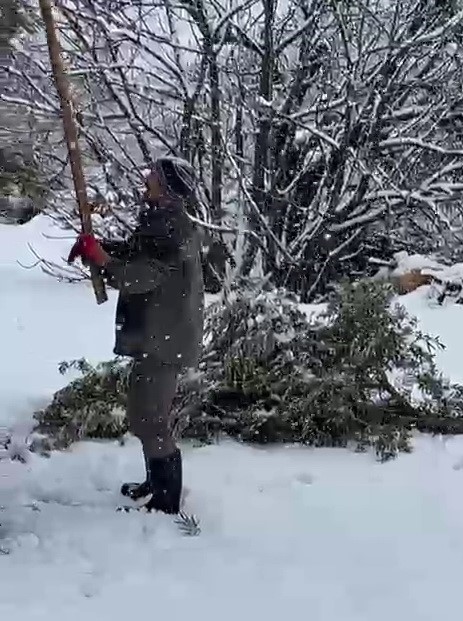 Kar ağırlığına dayanamayan ağa&ccedil;lar zarar g&ouml;rd&uuml;
