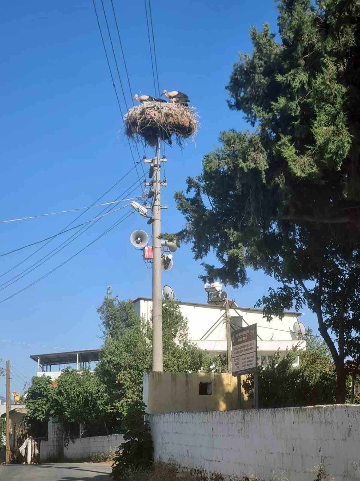 Leylekler i&ccedil;in g&uuml;venli yuva

