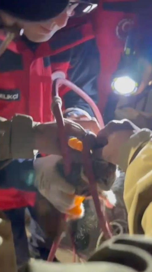 Su pompası deliğine düşen yavru kediyi itfaiye kurtardı