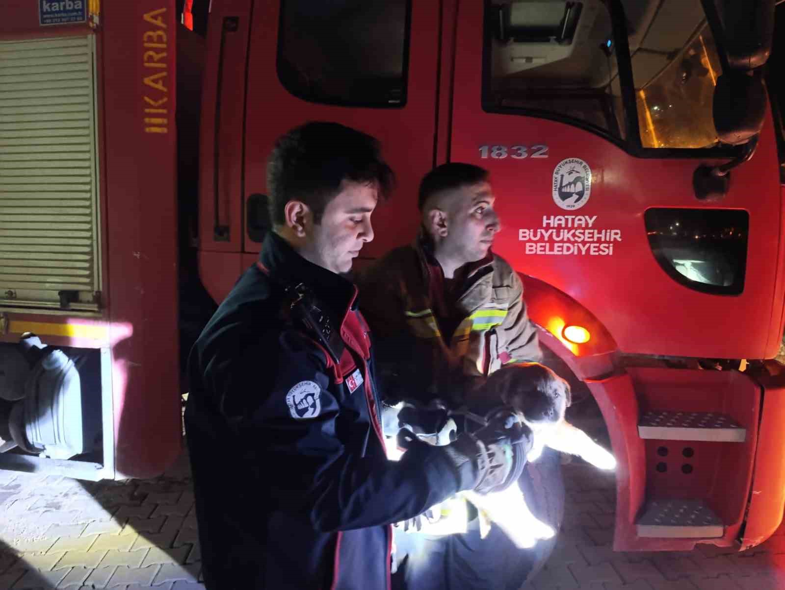 Kuyuya d&uuml;şen yavru k&ouml;peği itfaiye kurtardı
