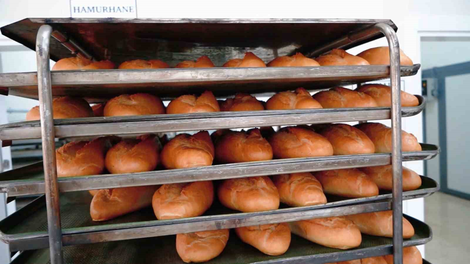 Bu il&ccedil;ede &uuml;niversite &ouml;ğrencilerinin ulaşım kartları belediyeden
