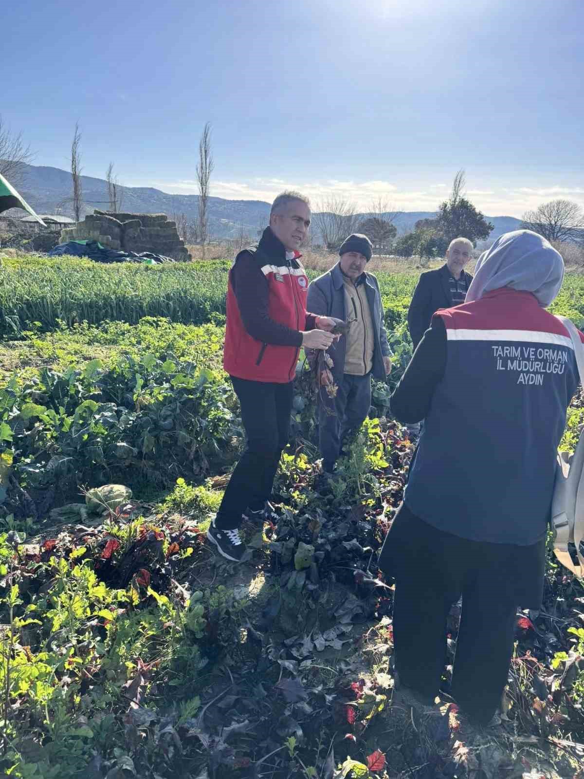 Tarımda kimyasalsız &uuml;retime yerinde inceleme
