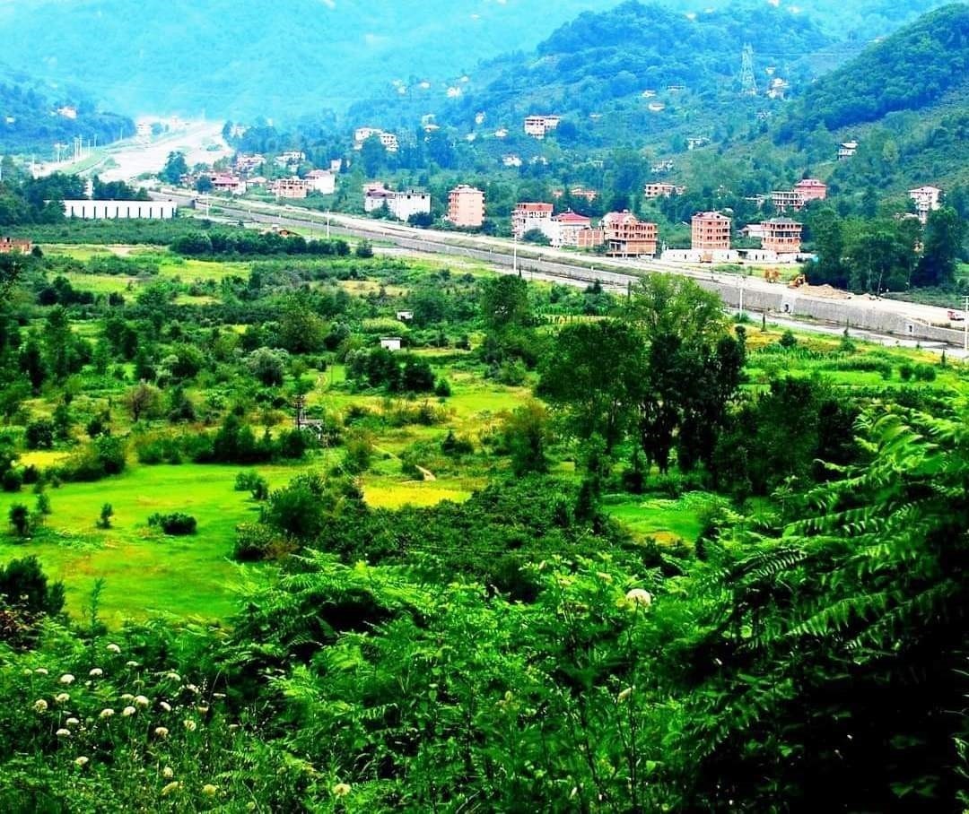 Öğretim Görevlisi Mehmet Akif Bal: "Karadere Vadisi acilen tarımsal üretim üssü haline getirilmeli"