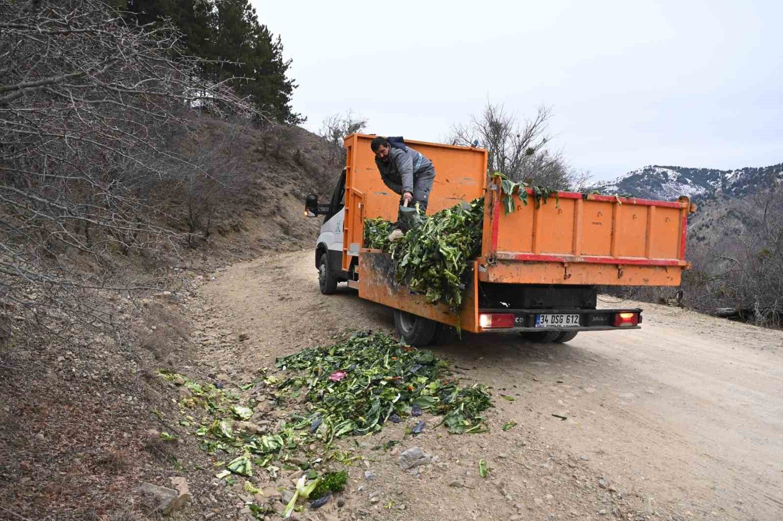 Isparta’da kışın aç kalan yaban hayvanlarına duyarlı dokunuş