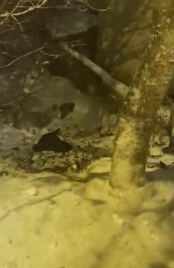 Poşetle kayan gen&ccedil;ler hızını alamayarak bah&ccedil;eye u&ccedil;tu
