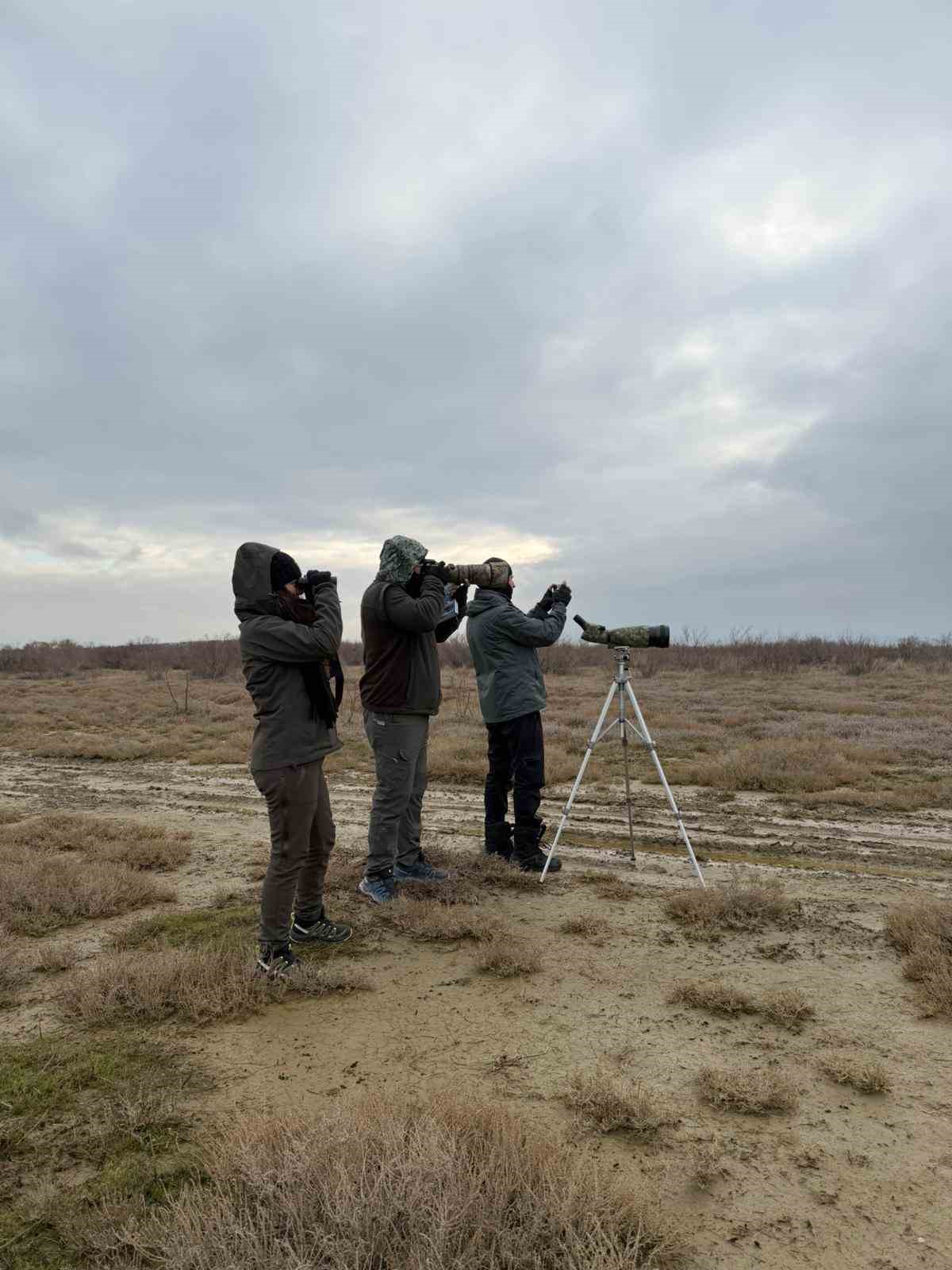 &Ccedil;anakkale&rsquo;de kış ortası su kuşu sayımları
