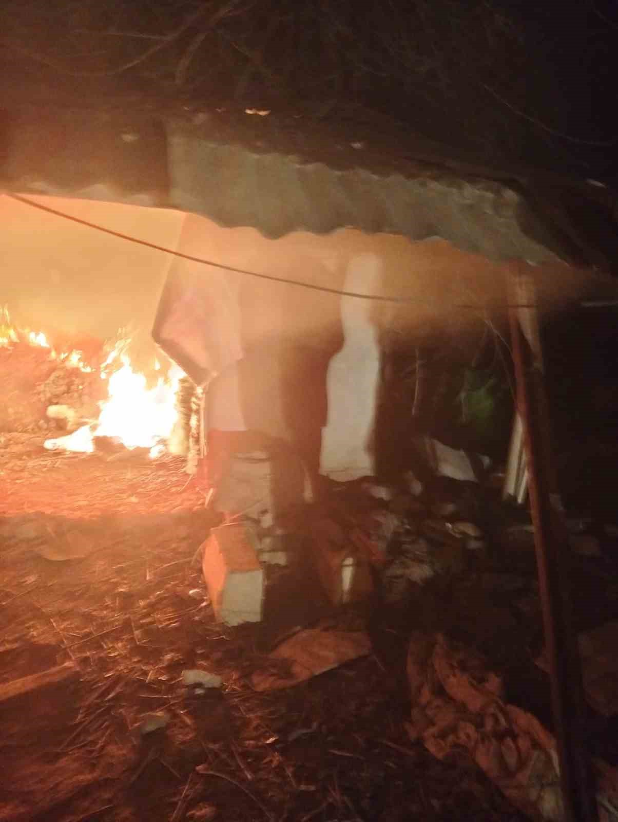 Kursun odunluk deposunda &ccedil;ıkan yangın korkuttu
