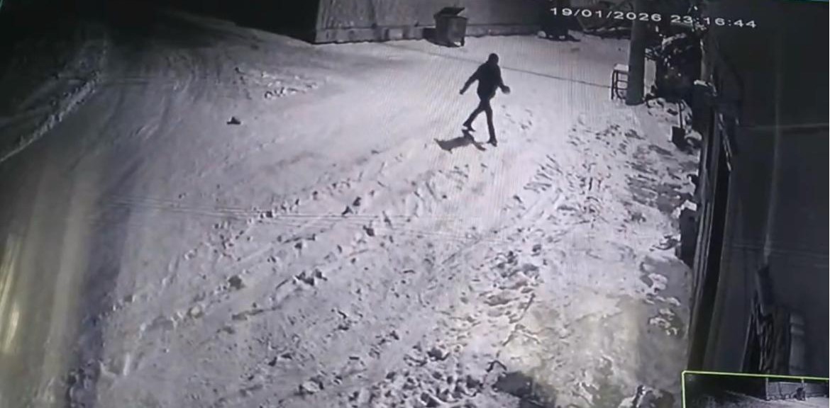 Bahçesine giren kurtları çaydanlıktaki sıcak suyla kovaladı