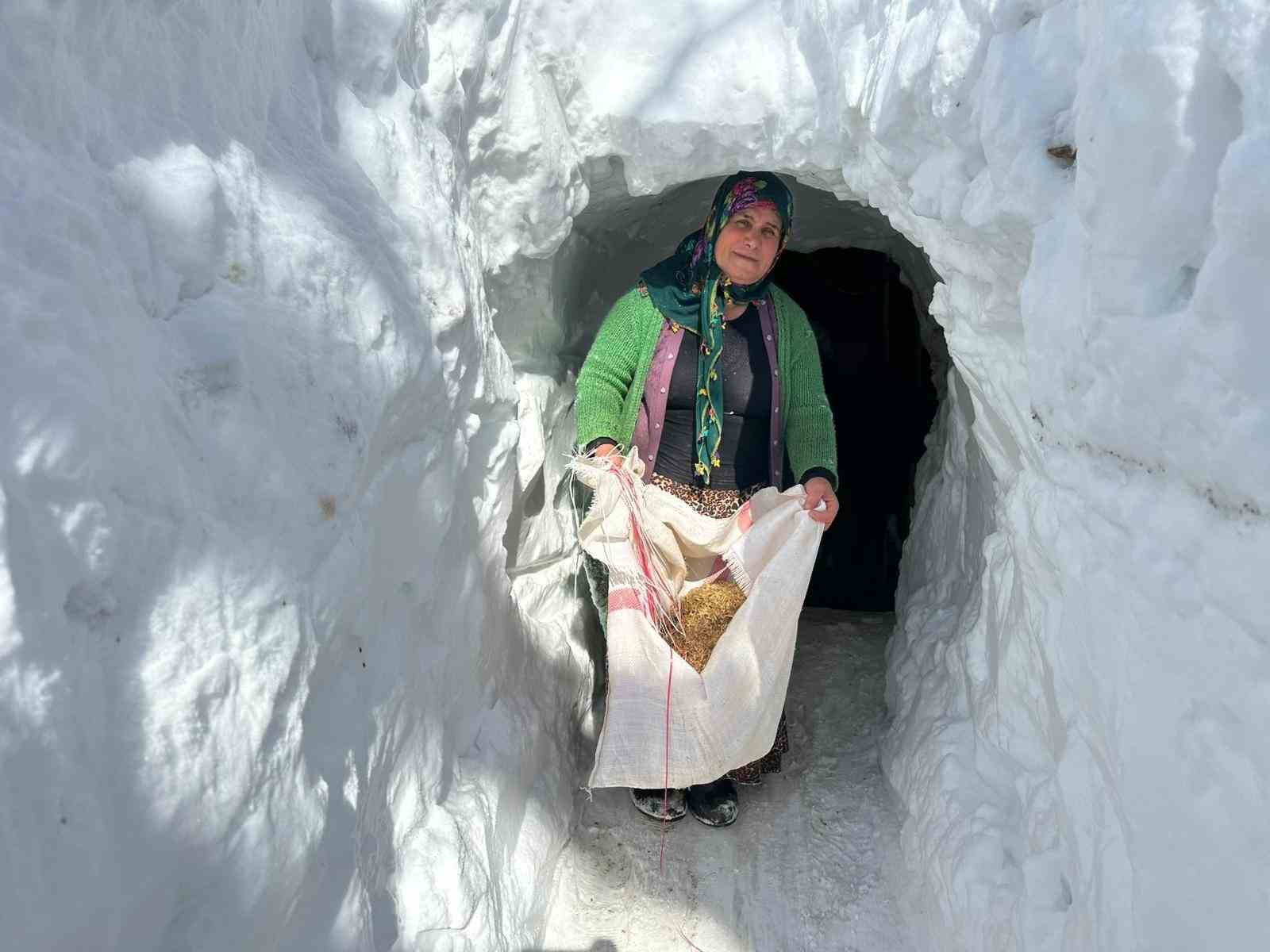 Kardan t&uuml;nellerden ge&ccedil;en yaşam
