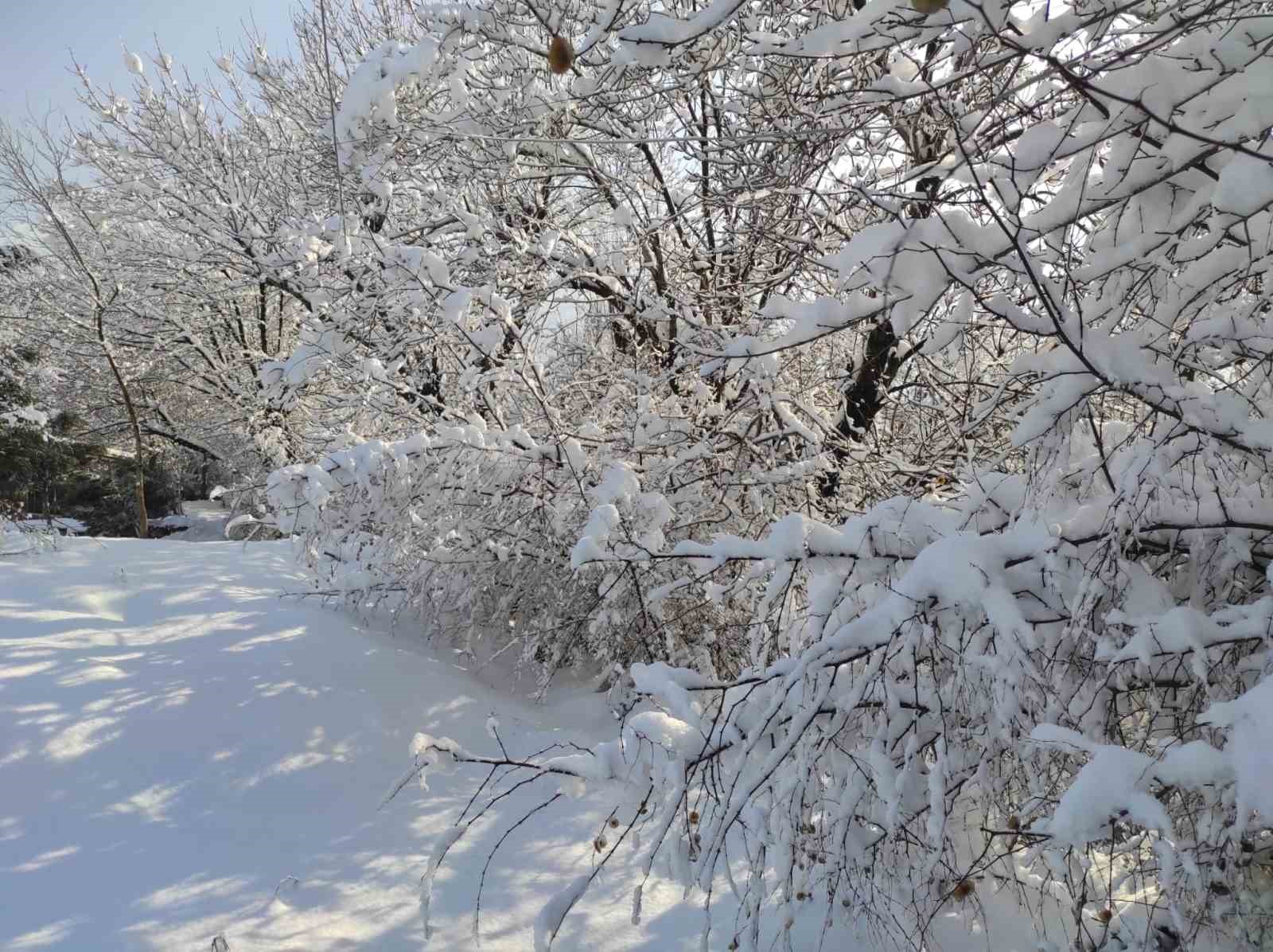 Batman’da kar manzaraları