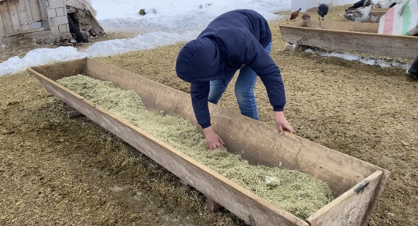 Ağrı&rsquo;da besicilerin zorlu kış mesaisi
