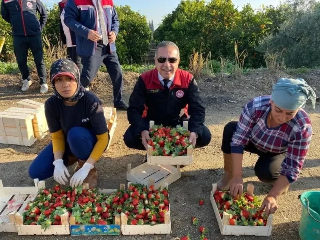 Aydın&rsquo;da bir yılda 3 bini aşkın tarımsal denetim yapıldı
