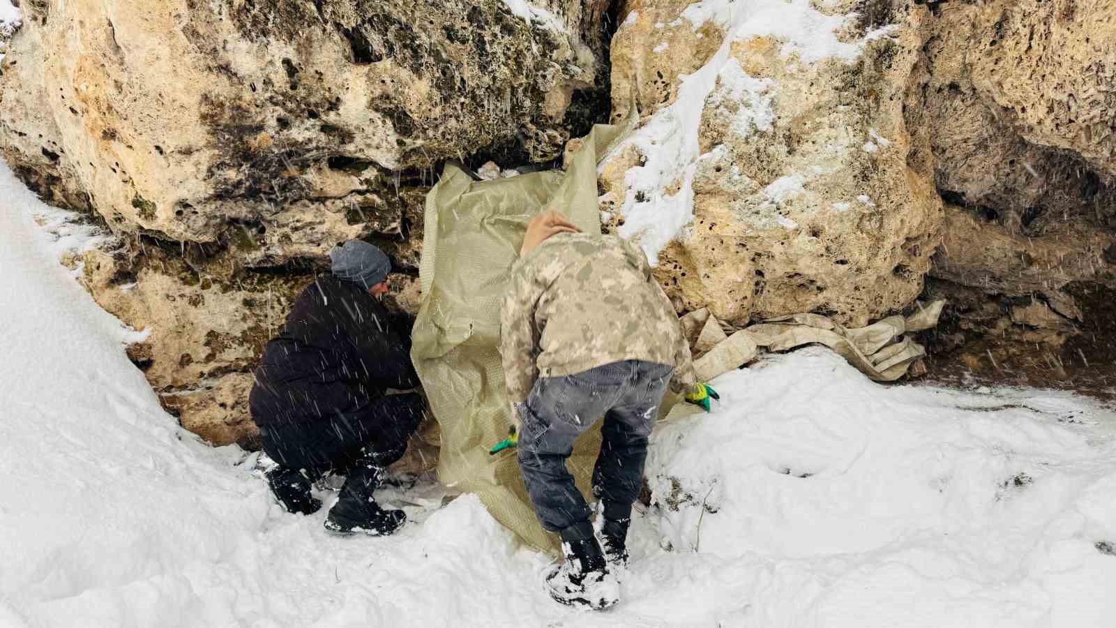 Şırnak&rsquo;ta 12 k&ouml;pek yavrusu donmak &uuml;zereyken kurtarıldı
