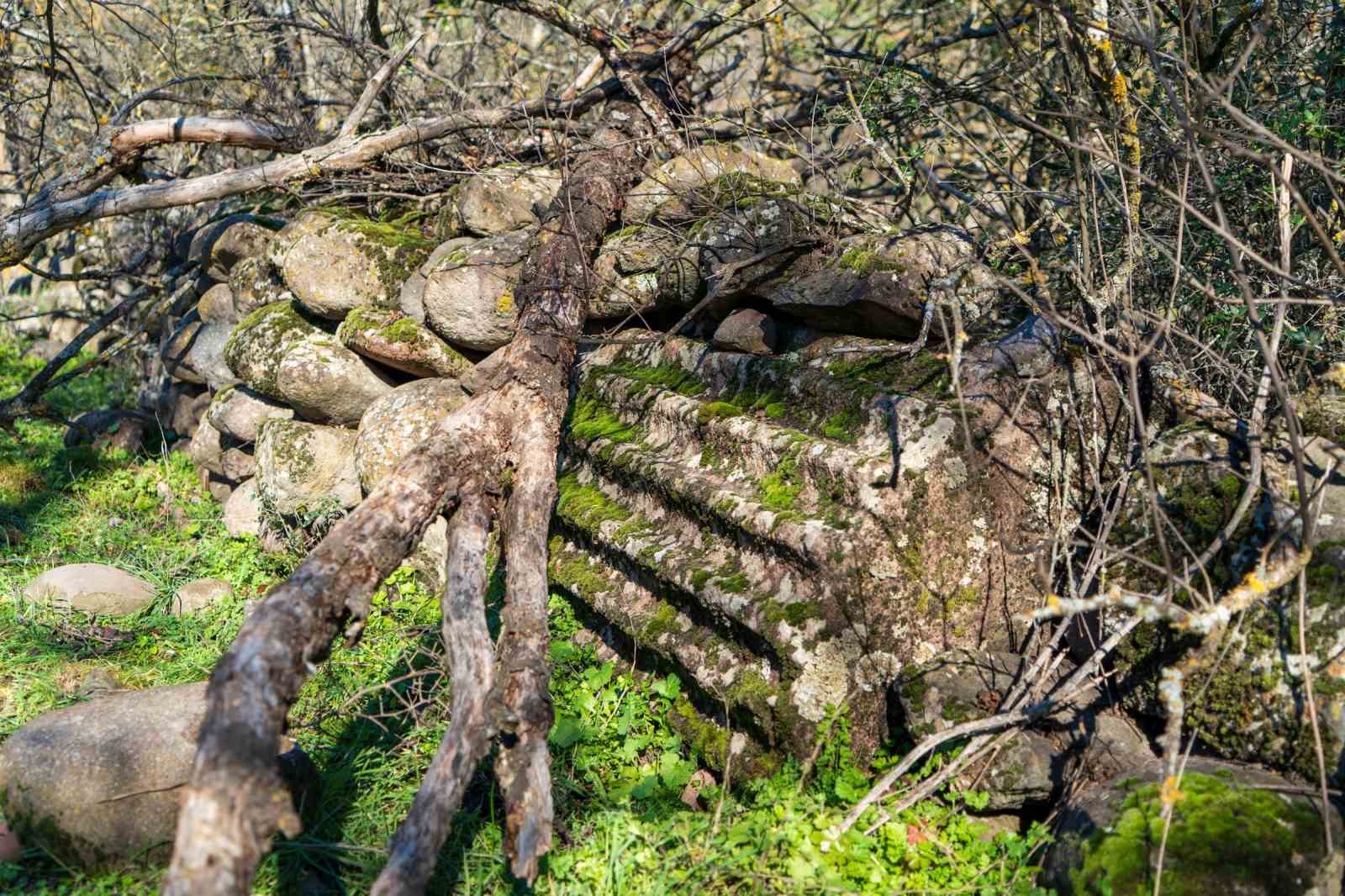 Kırsalda antik bir inan&ccedil; merkezi: Apollon&rsquo;un saklı tapınağı
