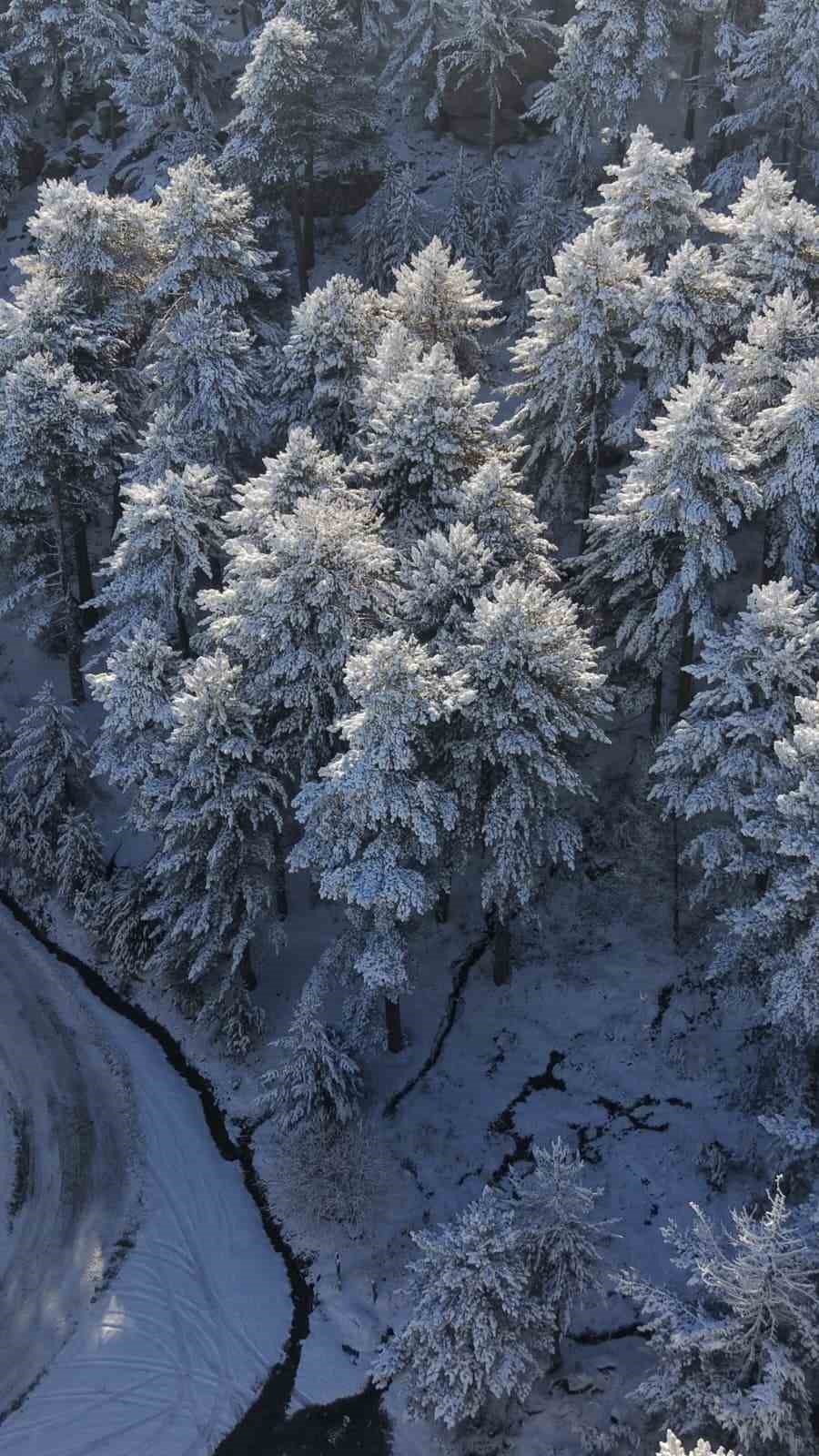 Harikalar diyarı Kazdağları beyaz &ouml;rt&uuml;s&uuml; ile bir başka g&uuml;zel
