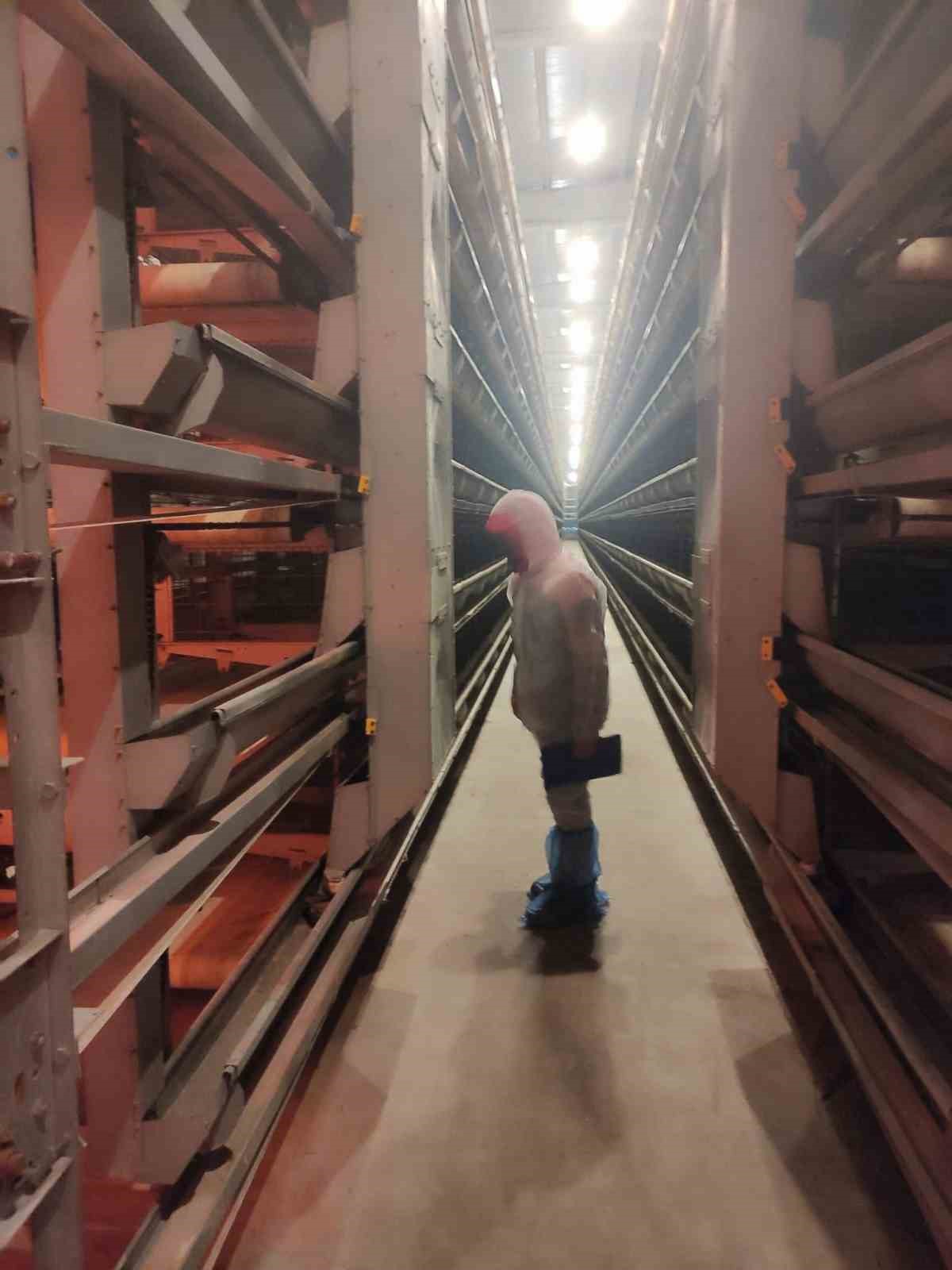 Kanatlı hayvan ve yumurta &uuml;retim tesislerinde denetim
