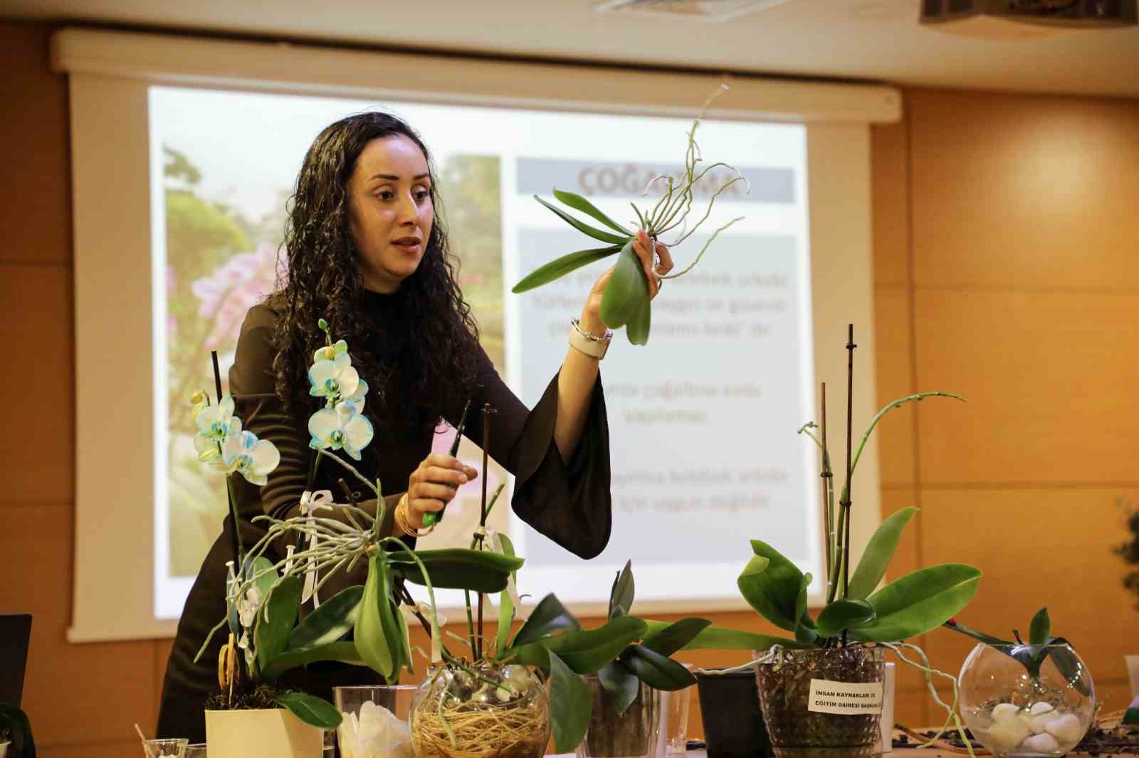 Orkide bakımı uygulamalı olarak anlatıldı
