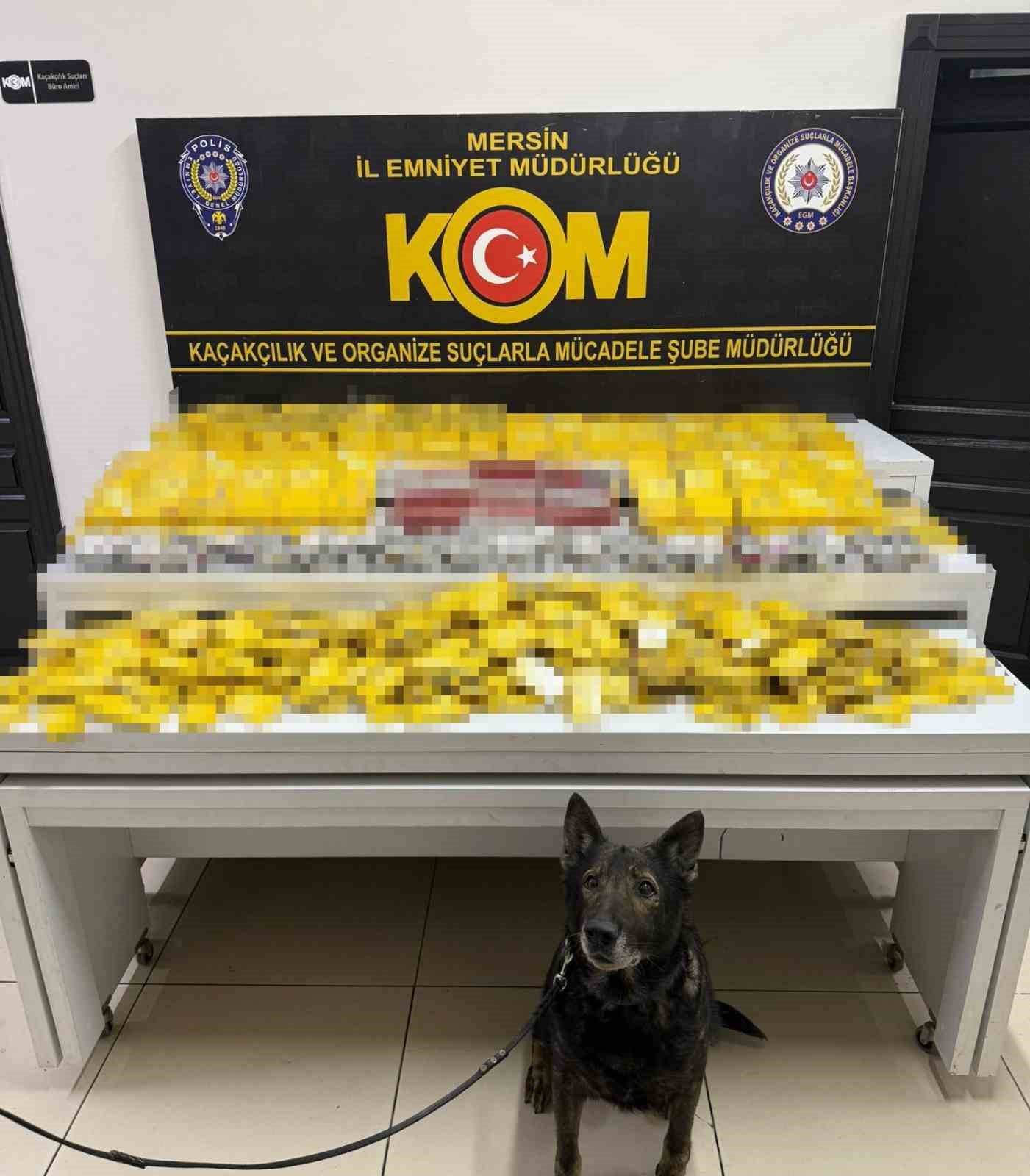 Mersin&rsquo;de binlerce ka&ccedil;ak &uuml;r&uuml;n ele ge&ccedil;irildi
